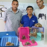 Frank Cuesta: "Hemos dado uno de los mayores golpes al tráfico de animales, que se jodan"