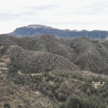 La plaga del monte, y no es la procesionaria