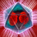 Los virus gigantes tienen un sistema "inmune" parecido a la técnica CRISPR (ING)