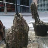 No alimentes al monstruo de las toallitas