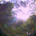 Río de Janeiro tendría una temperatura mayor si no se hubiese plantado el bosque de Tijuca [PT]