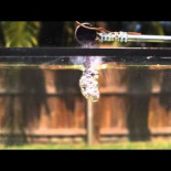 Experimento con sal fundida y agua