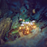 Setas mágicas para ver a Dios: los estudiantes de teología que midieron la espiritualidad