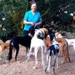 La millonaria francesa, Joëlle Pellegrin, salva de la muerte a centenares de galgos españoles