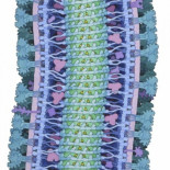 Las 20 mejores fotos científicas del año