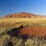 Científicos por fin hallan una explicación a los misteriosos círculos de las hadas