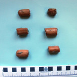 Detenido el presunto autor de la colocación de salchichas con alfileres para matar perros