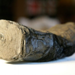 El plomo de la tinta de los pergaminos podría desvelar una biblioteca destruida por el Vesubio [ENG]