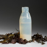 Esta botella sustituye al plástico y hasta te la puedes comer