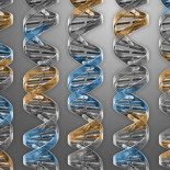 Sintetizan la ‘célula mínima’ con solo 473 genes necesarios para la vida