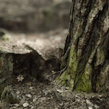 No podrás distinguir un paisaje real de este creado con Unreal Engine en 4K