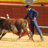 Los toros arruinan Cenicientos