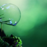 La "fotosíntesis inversa" podría revolucionar la industria gracias a la luz del Sol