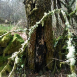 Esta es la Galicia real