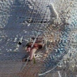 Aparecen los restos de varios perros envueltos en sacos en la playa Bikinis de Santander