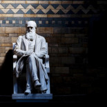 Lo que Darwin pensaba sobre los antivacunas