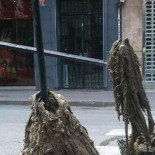 Hasta las narices de las toallitas húmedas