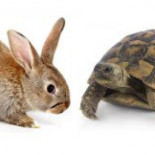 Corre despacio para correr más rápido