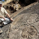 El gran cementerio de medusas en España
