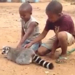 ¿Por qué paráis? ¡Seguir rascando!