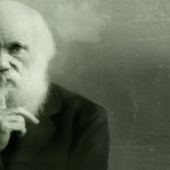 La historia de una de las ideas más peligrosas jamás pensada: la teoría de la evolución