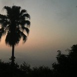 La isla de Darwin en la que nada tiene sentido