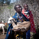 Trip-drop: viaja, da, recibe