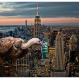 La economía especulativa supera en más de 125 veces el dinero en metálico