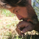 Un paseo con el rey de las hormigas