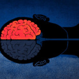 Un experimento pionero tratará de resucitar el cerebro de 20 pacientes clínicamente muertos