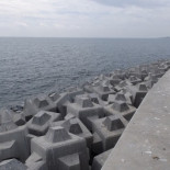 Los cubípodos del Puerto de Málaga