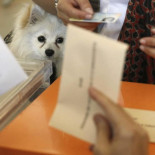 Voto por correo: ya puedes solicitarlo desde España o desde el extranjero