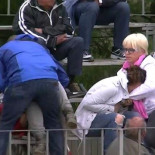 Los animalistas piden que en los festejos taurinos se deje de torturar a los animalistas