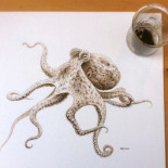 Pulpo de 95 millones de años, dibujado con su propia tinta