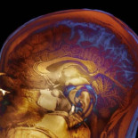 El drama del hombre que recuerda experiencias que nunca vivió