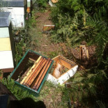 Me llamo Alberto Uría, sufro daños de oso y abogo por la conservación