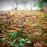 ¿Por qué los romanos cambiaron las ánforas de barro por los barriles de roble?