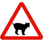 Mapa que registra las causas de muerte del Lince ibérico desde 1980 hasta la actualidad