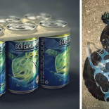 Estas anillas comestibles alimentarán a las criaturas marinas en vez de matarlas