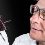 Nuevo récord mundial de eficiencia en conversión de luz solar a electricidad