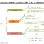 Aves básicas urbanas con las que empezar a aprender ornitología (o qué es ese pájaro que canta en mi ventana)