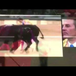 Agresión a antitaurino en Las Ventas