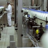 Suspende pagos la cooperativa que denunció el cártel de las empresas lácteas