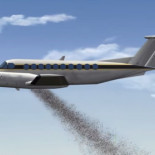 Tailandia "bombardea" el país con semillas de árboles