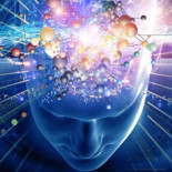 El hombre que vivía sin un 90% del cerebro