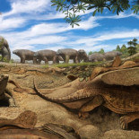 Investigadores descubren la verdadera razón por la que las tortugas tienen concha (ENG)