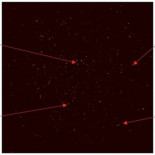 La primera luz de un radiotelescopio revela 1.300 nuevas galaxias