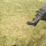 Algo está causando estas inquietantes burbujas bajo el suelo de la tundra siberiana