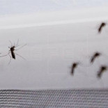 Nace en Barcelona el primer bebé de España con microcefalia por virus de Zika