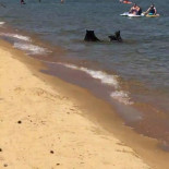 Una playa en el lago Tahoe en California en un día soleado [ENG]